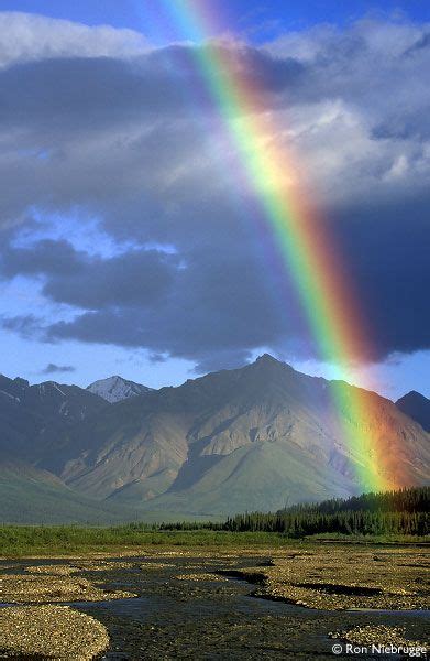Amazing Rainbow Denali National Park Photo National Park Photos
