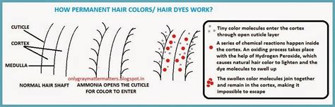 Lisas Hair Care Tips And Tricks November 2013