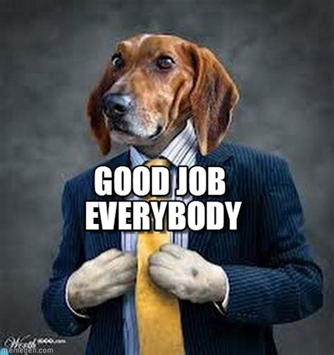 Create/edit gifs, make reaction gifs. 62 best images about Dogs with Jobs -- Memes on Pinterest ...
