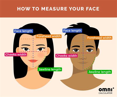 Face Shape Calculator — What Shape Is Mine