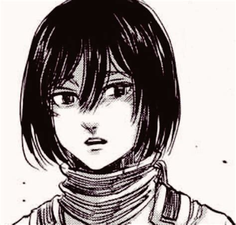 Mikasa ackerman is the adoptive sister of eren jaeger, and the main female protagonist of the series. Mikasa Ackerman | Wiki | Anime Amino
