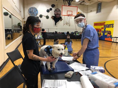 Southside Healthy Pet Clinic Perseveres Through Pandemic Cornell