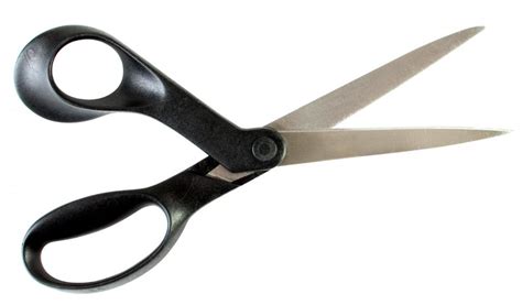 What Are The Different Types Of Scissors With Pictures