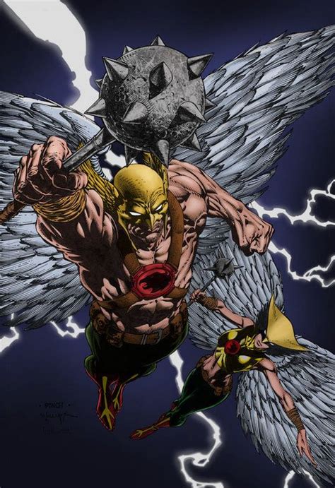 Hawkman And Hawkgirl Marvel Comics Superheroes Dc Comics