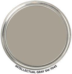 Intellectual grey 7045 undertones / 16 intellectua. 10 Intellectual Gray SW 7045 by Sherwin-Williams ideas ...