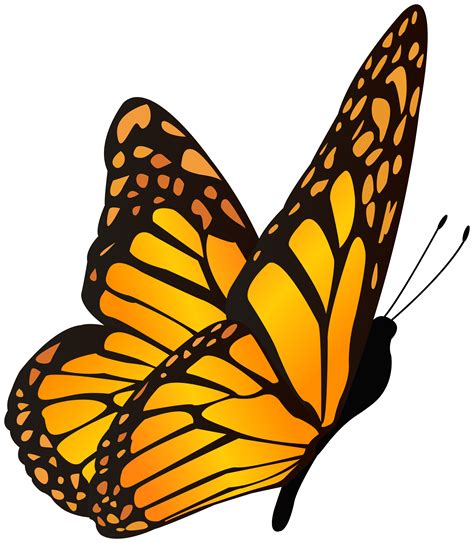 Yellow Butterflies Png Free Logo Image
