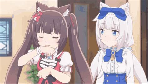 Nekopara Anime Pg Pussycats Shallow Dives In Anime