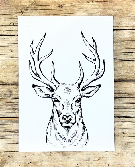 Original Deer Ink Drawing Deer Illustration Stag Animal Art Line