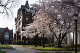 Tufts University | University & Colleges Details | Pathways To Jobs