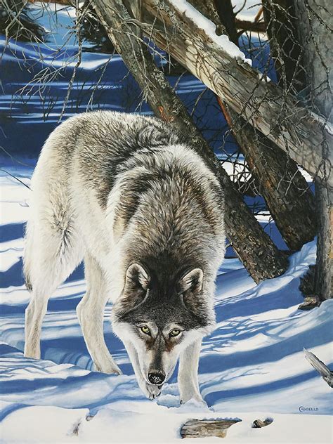 Hot On The Trail Timber Wolf Painting By Laara Cassells Fine Art