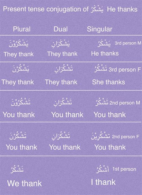 Arabic Present tense conjugation يَشْكُرُ | Learning arabic, Learn arabic language, Teach arabic