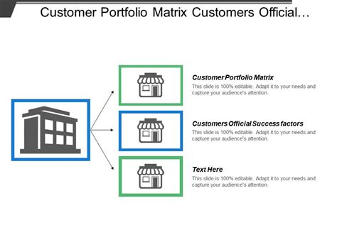 Customer Portfolio Matrix Customers Official Success Factors Strategies