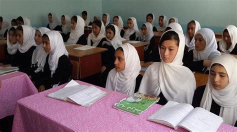 لڑکیوں کے اسکول کھولنے کیلئے علیحدہ کلاسز اور اساتذہ کا انتظام کیا جارہا ہے، طالبان