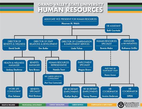 Hr Org Chart Examples