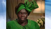 Remembering Wangari Maathai, First African Woman to Win Nobel Prize ...