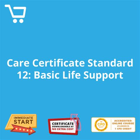 Care Certificate Standard 12 Basic Life Support The Trainingshop