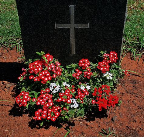 Soldiers Grave With Flowers Free Stock Photo Public Domain Pictures