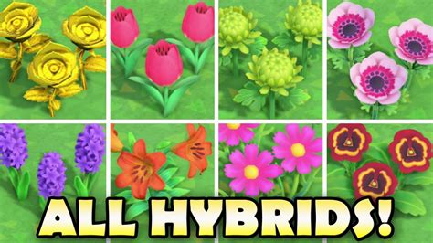 White + white = blue. Animal Crossing New Horizons Flower Breeding & Hybridize ...