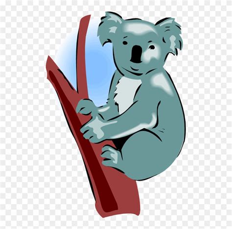 Koala Bear Images Clip Art Best Free Library