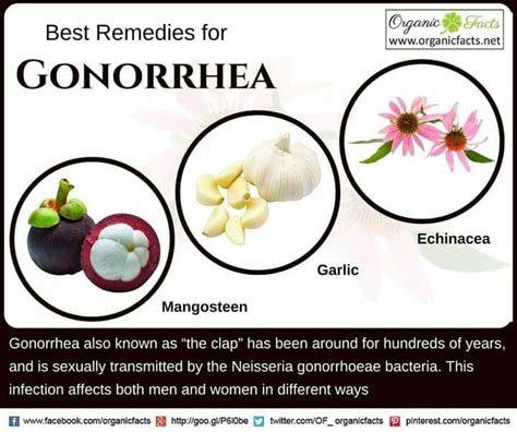 Pin By Yahudah Yasharahla On Natural Cures Remedies Home Remedies