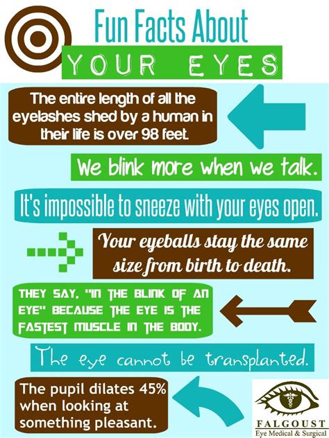 Random Eye Facts For Ophthalmology And Optometry Health Fair Eye