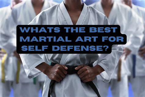 what s the best martial arts for self defense ranked with infographic inside heavybjj