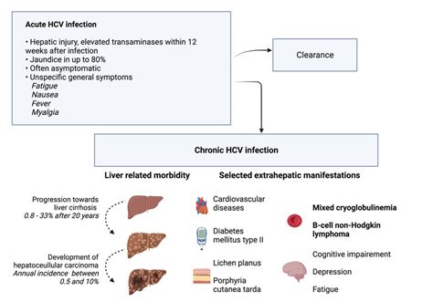 Clinical Presentation And Natural Course Of Hcv Infection In Addition