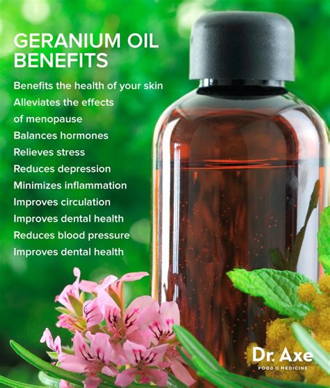 Geranium Oil Uses And Benefits For Healthy Skin And More Aceites