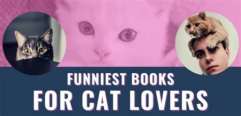 Cat Jokes And Humor The 10 Best Books For Cat Lovers Yinz Buy