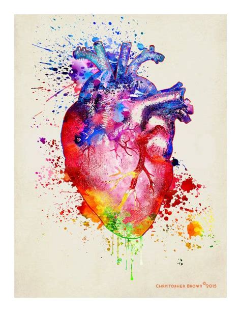 Watercolor Heart 11 X 14 Anatomy Medical Print By Artofthepage