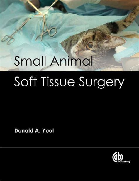 Small Animal Soft Tissue Surgery Vetbooks
