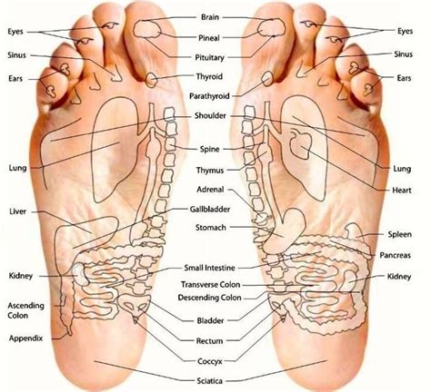 Map Of Feet Yoga Health Diy Health Health Tips Health And Wellness