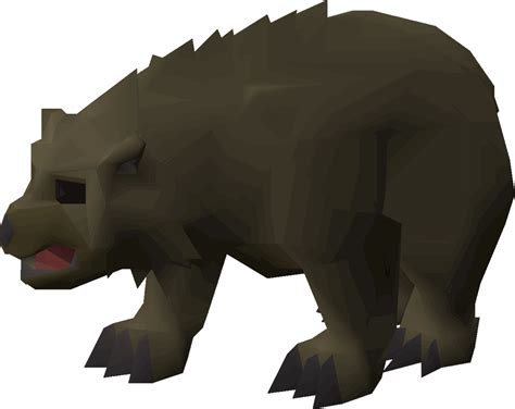 Bear Cub Osrs Wiki