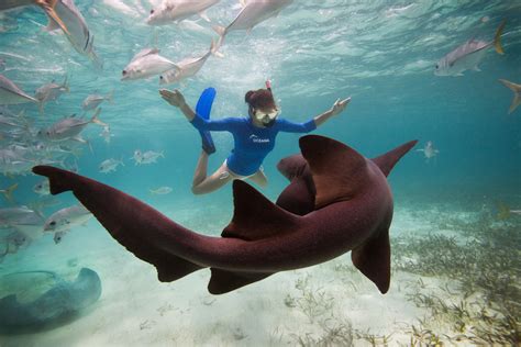 Best Of Humans Underwater Photography One Big Photo One Big Photo