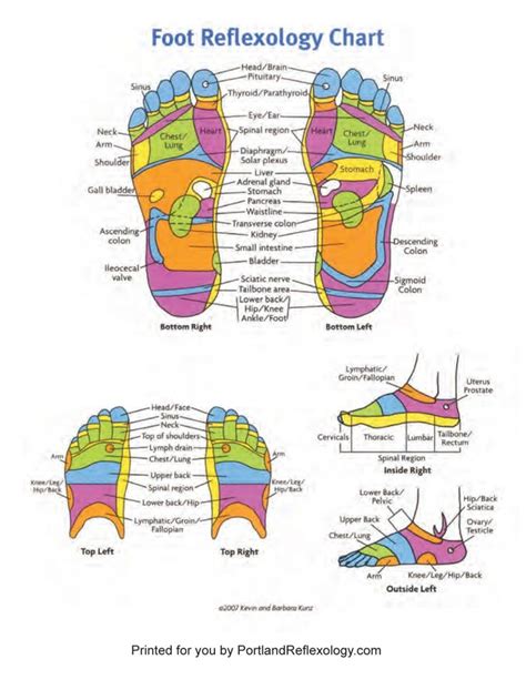Reflexology Chart Of Hands And Feet Reflexology Chart Reflexology My