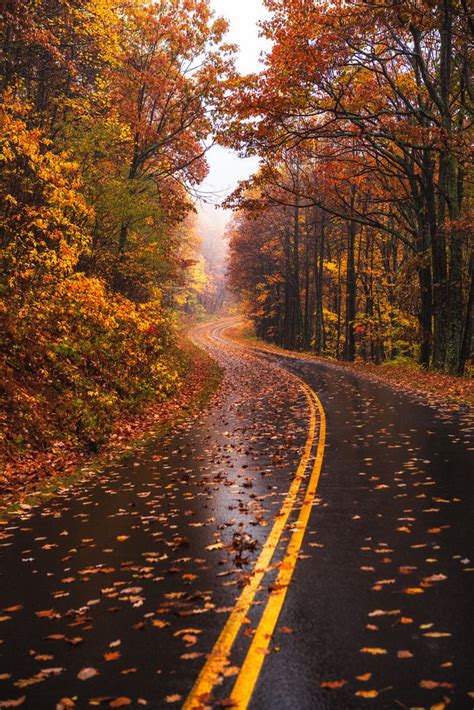 West Virginia Fall Road Photo By Michael Matti Fall Landscape