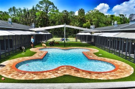 Pet Resort Brings Paradise To Wesley Chapel — Tampa Bay Times Pet