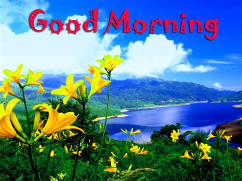 Beautiful Good Morning Scenery Images Photos Hd Download Good Morning
