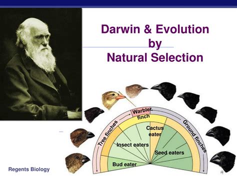 Charles Darwin Natural Selection