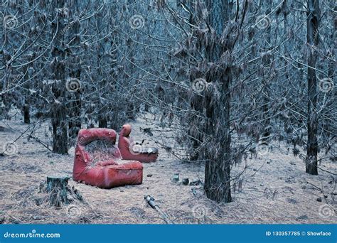 Abandoned Red Chair In The Wintry Pine Forest Stock Image Image Of