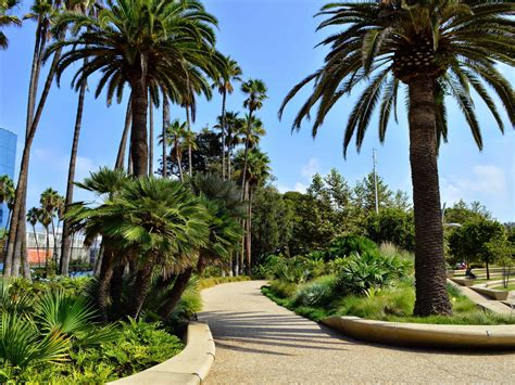 Best Parks In Los Angeles From Griffith Park To Grand Park