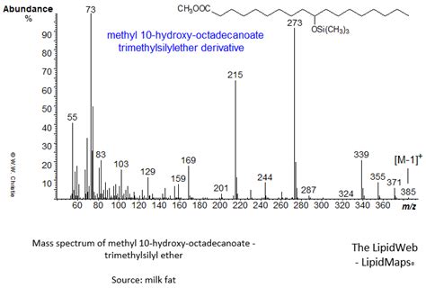 Mass Spectrum Of Methyl 10 Hydroxy Octadecanoate Tms