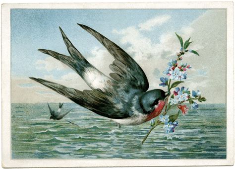 Vintage Bird Clip Art Bird Carrying Branch Printable Bird Card Bird