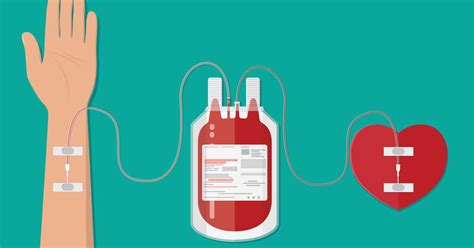 Blut Spenden Als Nebenjob