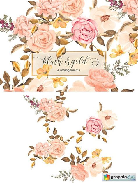Blush And Gold Roses Clip Art 1719599 Free Download Vector Stock Image