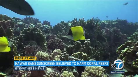 Hawaii Bans Certain Sunscreens To Protect Coral Reefs Abc7 Los Angeles