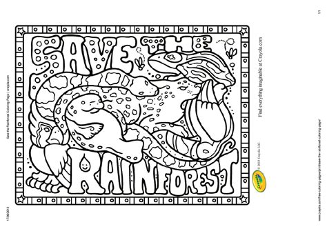 Tropical Rainforest Rainforest Animals Coloring Pages Tropical