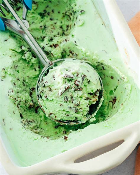 Mint Chocolate Chip Ice Cream A Couple Cooks