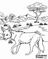 Coloring Coyote Topcoloringpages Color African Print Animals sketch template
