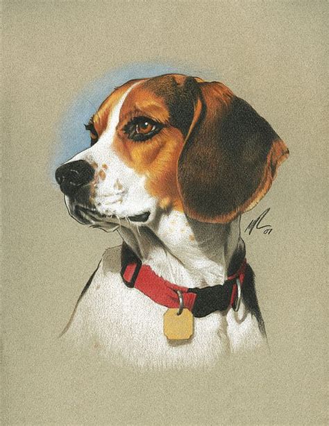 Art Beagle Beagle Puppy Dog Drawing Painting And Drawing Animal